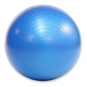 pelota de pilates 65cm